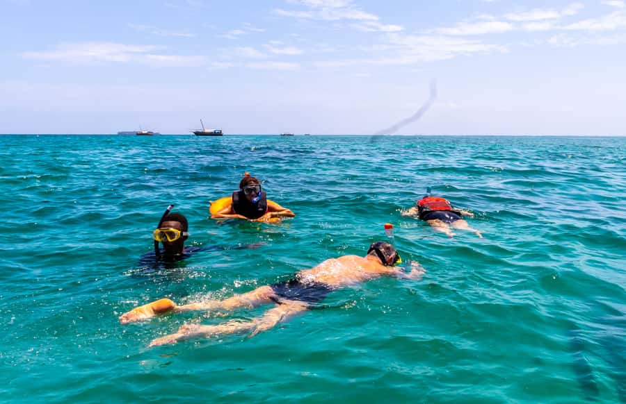 Wasini Island: Dolphin Spotting & Snorkel at Kisite Mpunguti - Kisite Mpunguti Marine Park snorkeling: fish, turtles, and a chance at sharks or rays