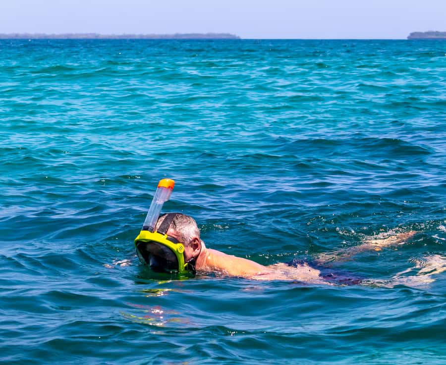 Wasini Island: Dolphin Spotting & Snorkel at Kisite Mpunguti - Should you book this Kisite Mpunguti and Wasini Island day trip?