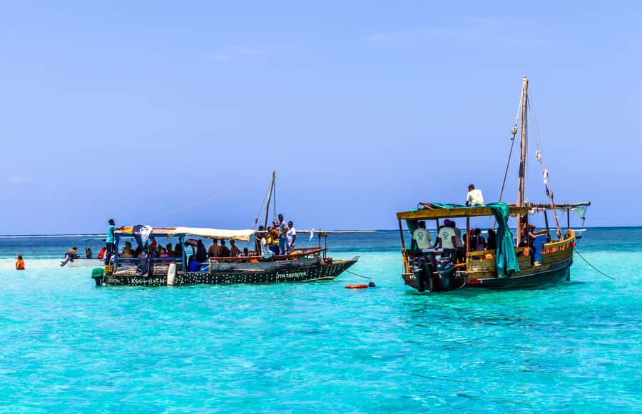 Wasini Island: Dolphin Spotting & Snorkel at Kisite Mpunguti - Dhow cruise to Kisite Mpunguti, where dolphin spotting is the main event