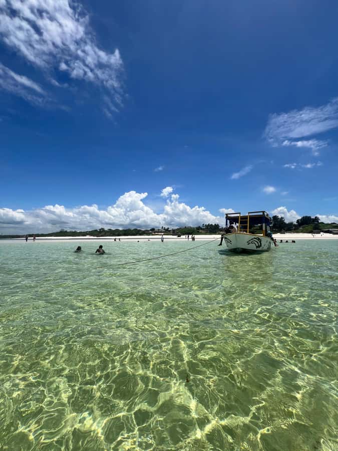 WATAMU: MALINDI: SARDEGNA ISLAND & MALINDI MARINE PARK - Malindi Marine Park from a glass-bottom boat, not just from the surface