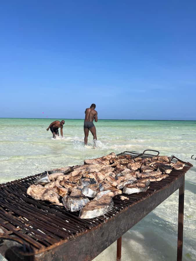 WATAMU: MALINDI: SARDEGNA ISLAND & MALINDI MARINE PARK - The 7 km sail to Sardegna 2 Island: the easy, scenic middle