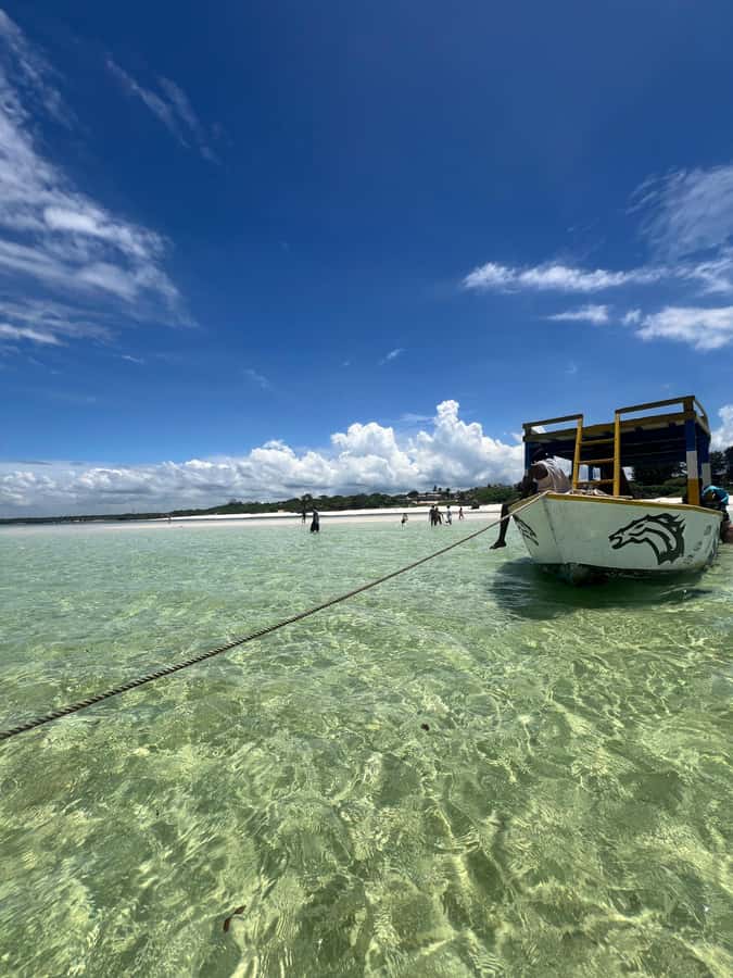 WATAMU: MALINDI: SARDEGNA ISLAND & MALINDI MARINE PARK - What you get for around $100, and why it can feel worth it