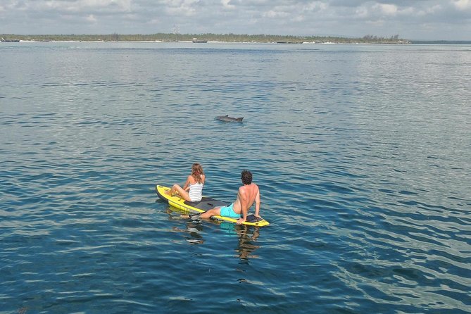 Watamu Marine Park & Sudi Island Mangrove Forest Canoe Ride.With sea food lunch - Watamu Marine Park on a double-deck glass boat