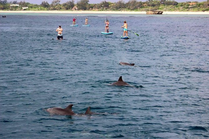 Watamu Marine Park & Sudi Island Mangrove Forest Canoe Ride.With sea food lunch - Timing and logistics: what a 9.5-hour day feels like