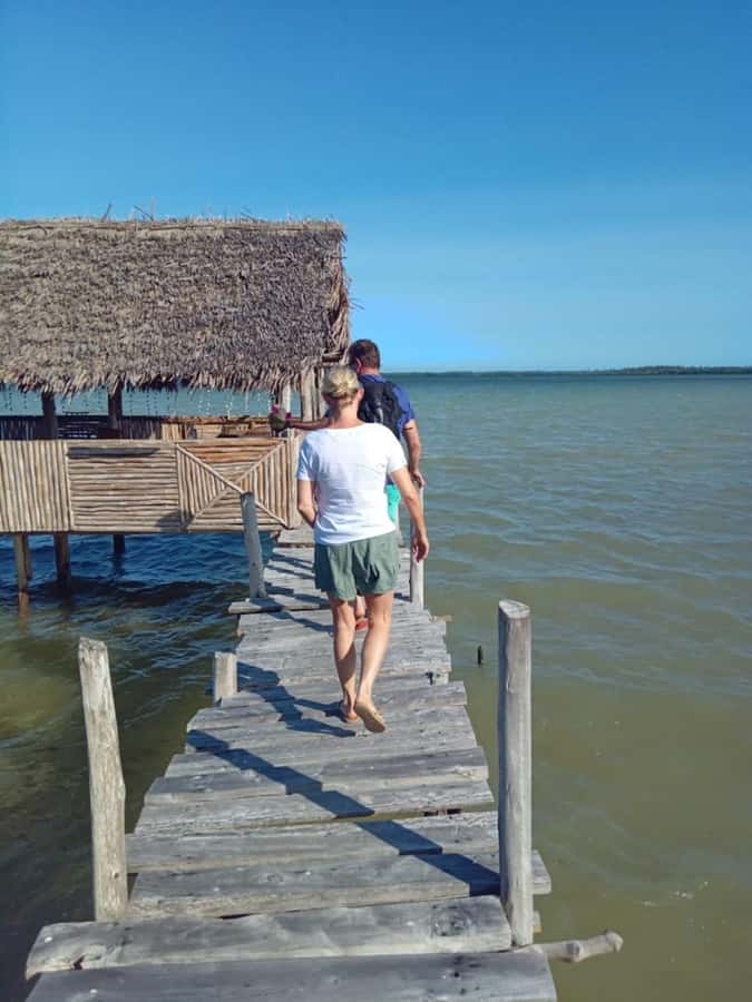 Watamu: Sunset Mangrove Canoe Tour with Coconut Drink - Key highlights to clock before you go