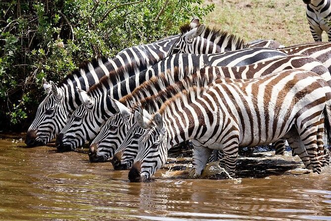 Wildebeest Migration in Masai Mara and Sightseeing 4 Days Tour - Day 1 from Nairobi to Masai Mara, with a Rift Valley break